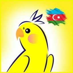 DYP İmtahan App Logo